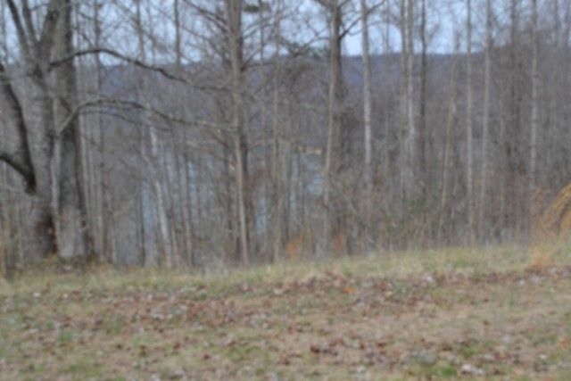 0 Fox Hill Road, Baxter, TN 38544