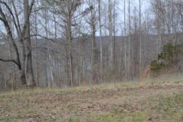 0 Fox Hill Road, Baxter, TN 38544