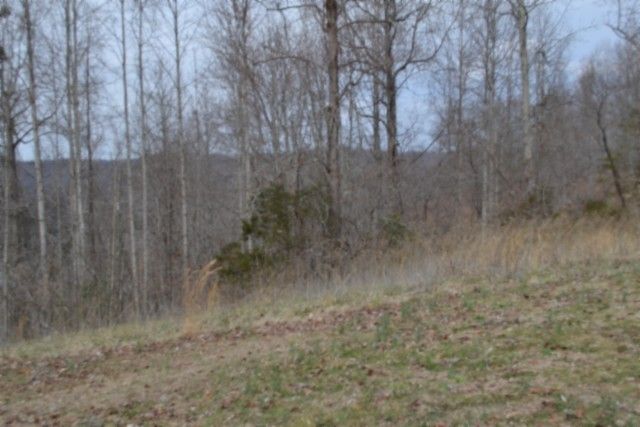 0 Fox Hill Road, Baxter, TN 38544