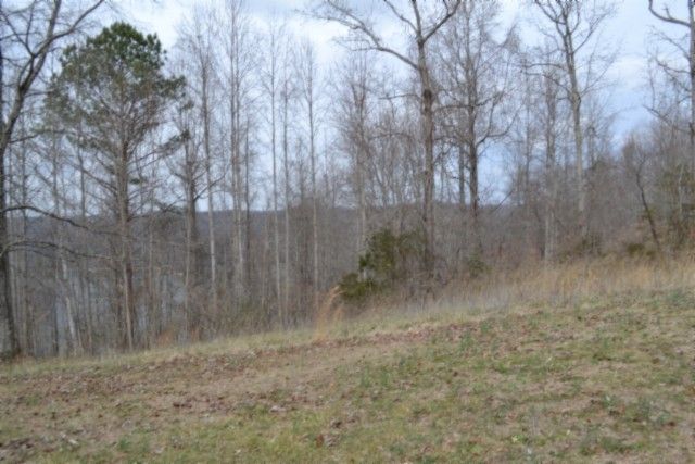 0 Fox Hill Road, Baxter, TN 38544