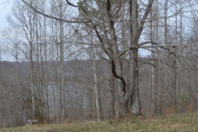 0 Fox Hill Road, Baxter, TN 38544