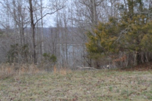 0 Fox Hill Road, Baxter, TN 38544