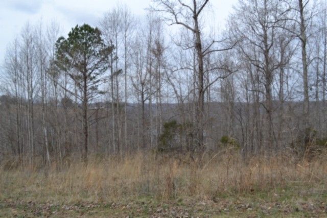 0 Fox Hill Road, Baxter, TN 38544