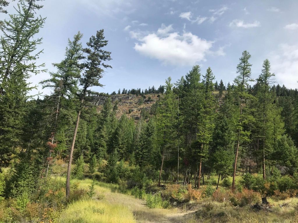 Nhh Whitetail Ridge Ridge, Kalispell, MT 59901 photo 11