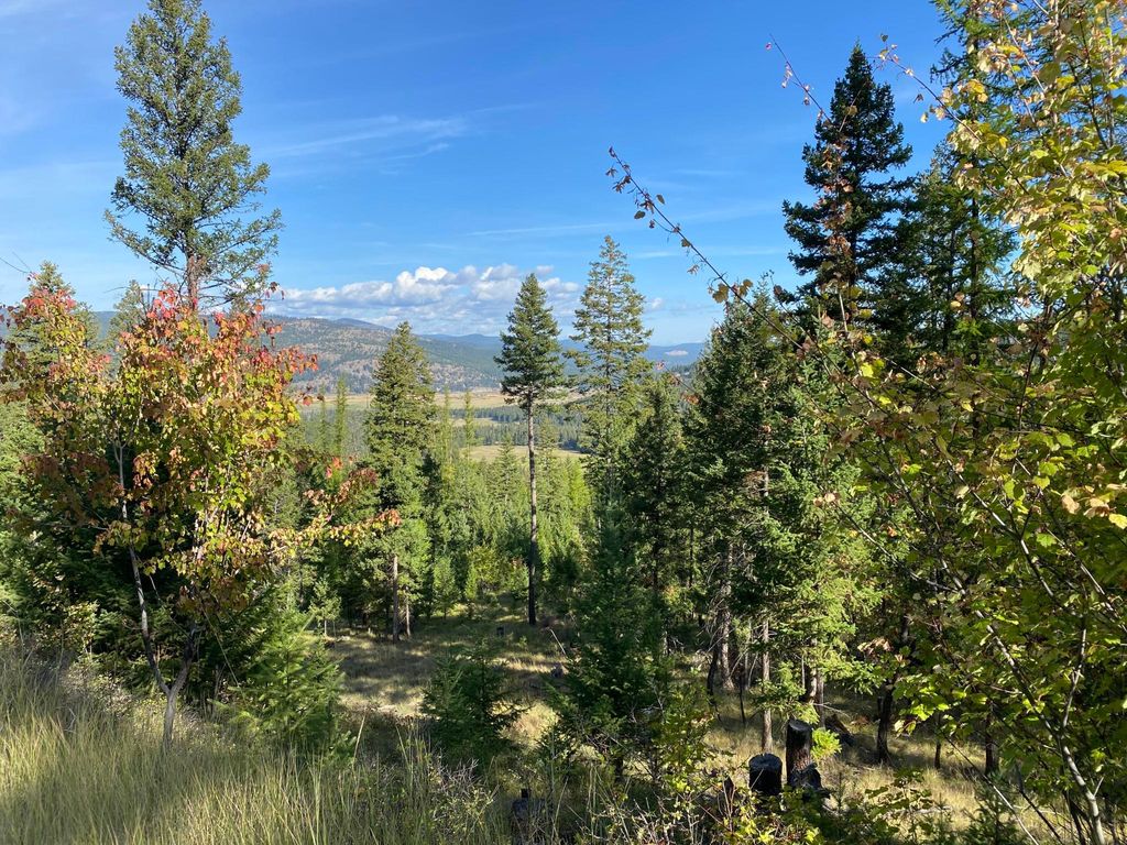 Nhh Whitetail Ridge Ridge, Kalispell, MT 59901 photo 13