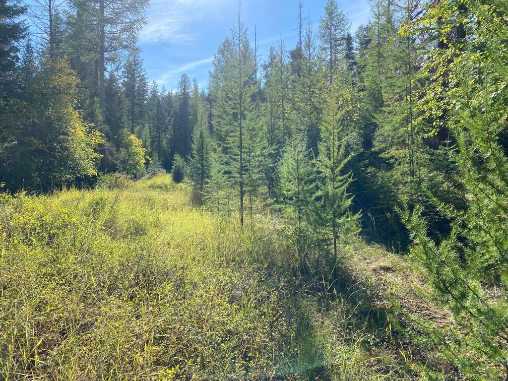 Nhh Whitetail Ridge Ridge, Kalispell, MT 59901 photo 14