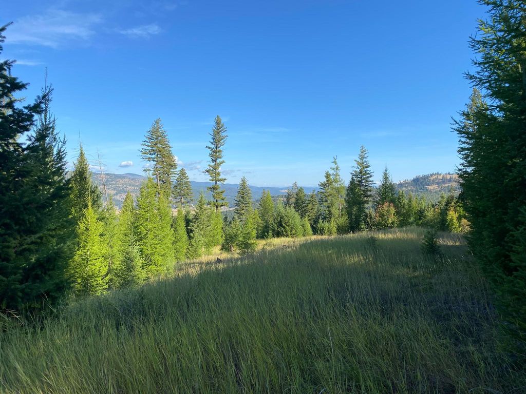 Nhh Whitetail Ridge Ridge, Kalispell, MT 59901 photo 15