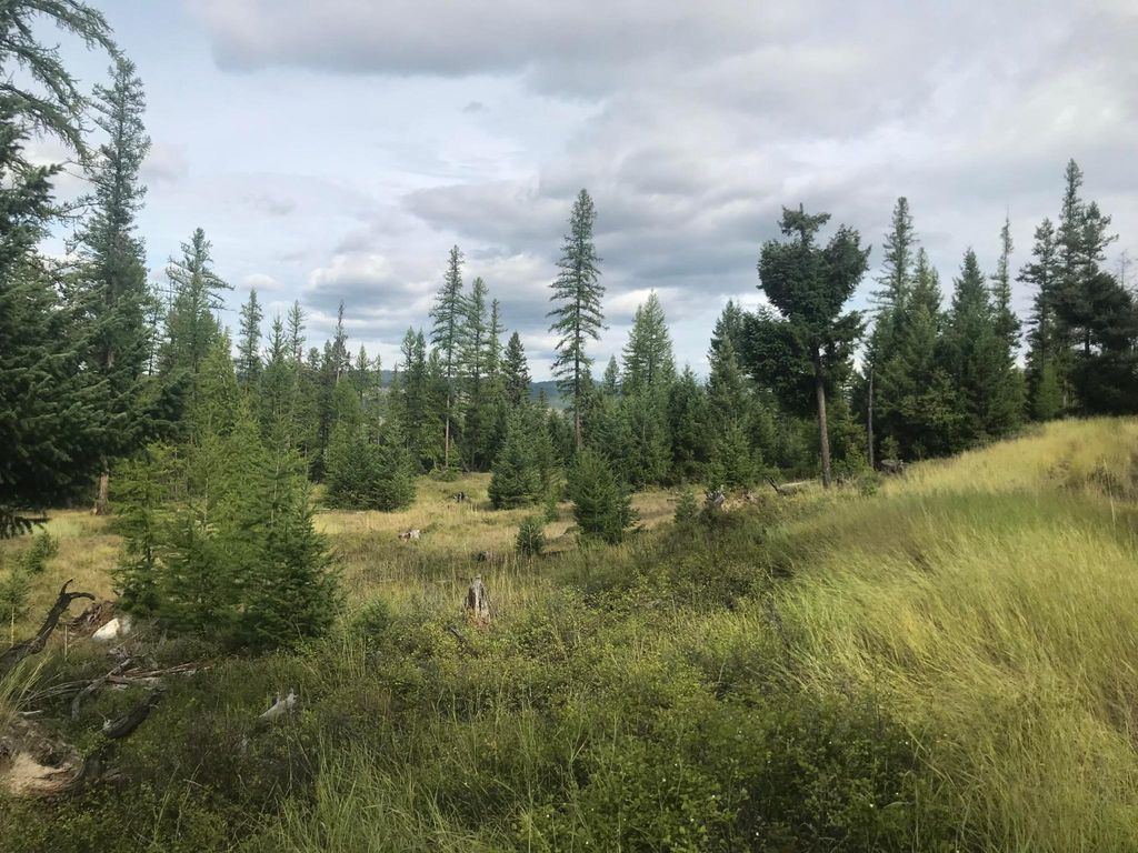 Nhh Whitetail Ridge Ridge, Kalispell, MT 59901 photo 5