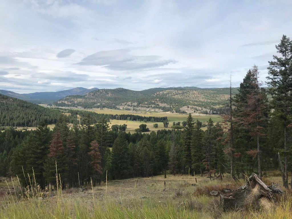 Nhh Whitetail Ridge Ridge, Kalispell, MT 59901 photo 6