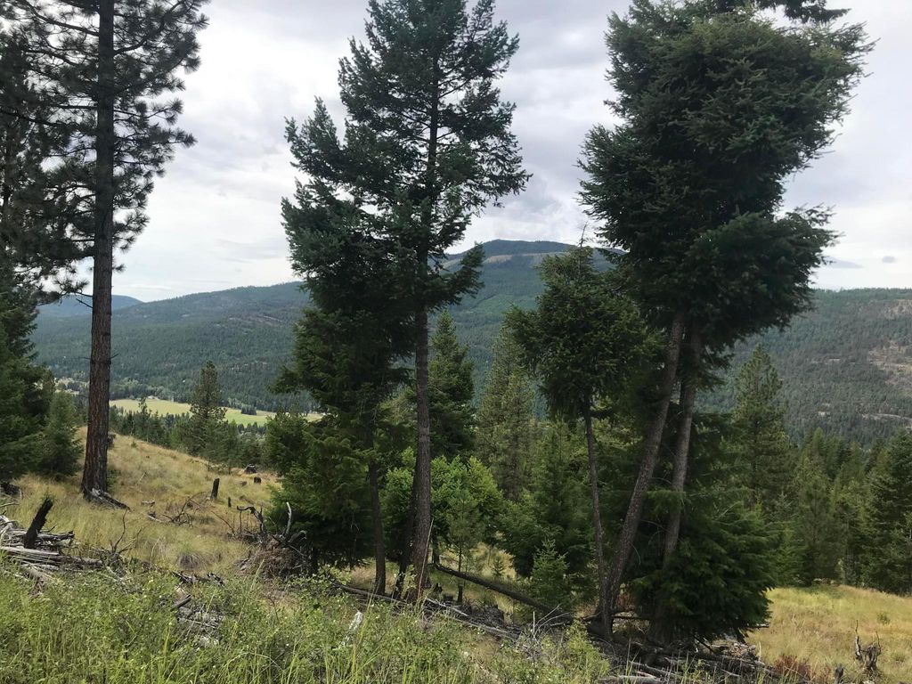 Nhh Whitetail Ridge Ridge, Kalispell, MT 59901 photo 7