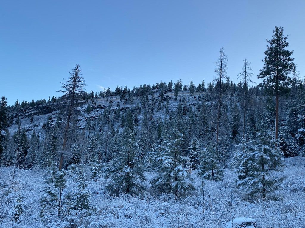 Nhh Whitetail Ridge Ridge, Kalispell, MT 59901 photo 8