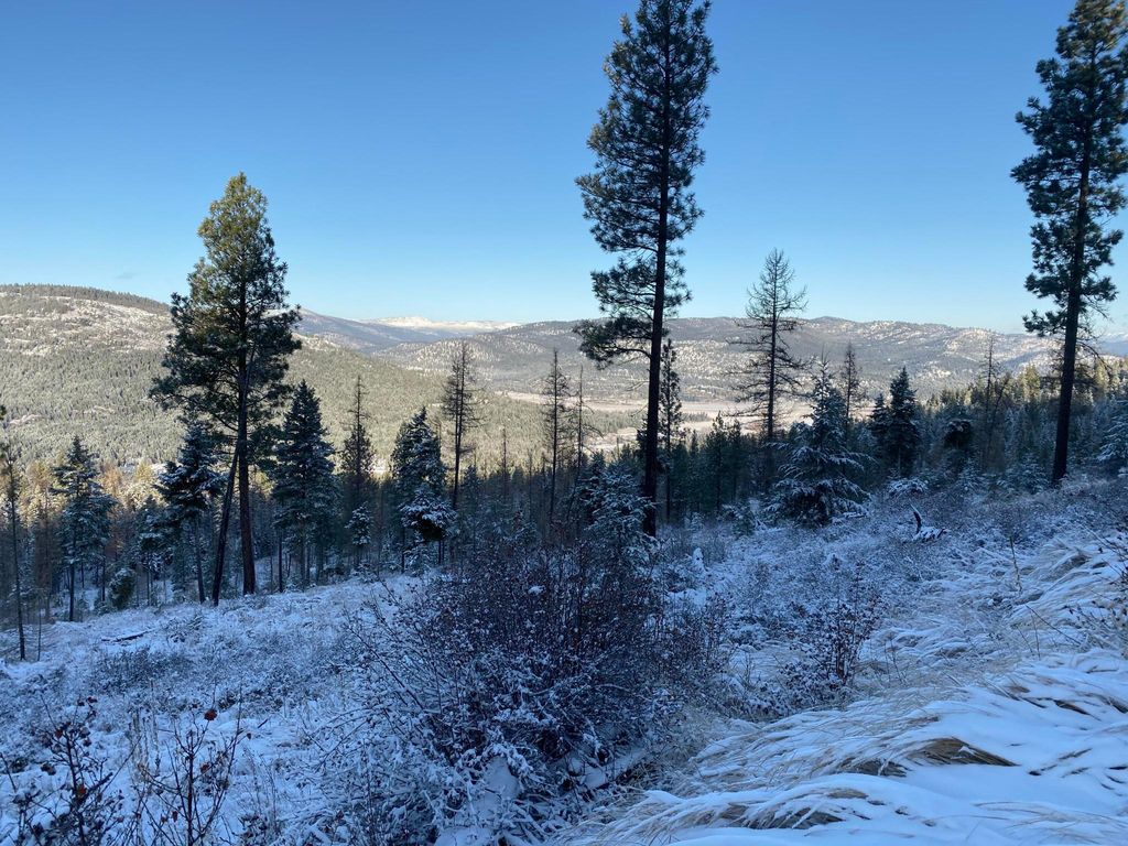 Nhh Whitetail Ridge Ridge, Kalispell, MT 59901 photo 9