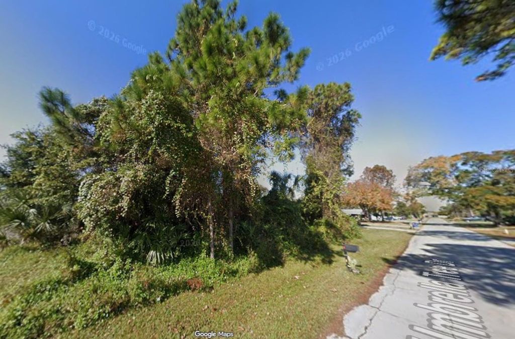 1328 UMBRELLA TREE DRIVE, Edgewater, FL 32132