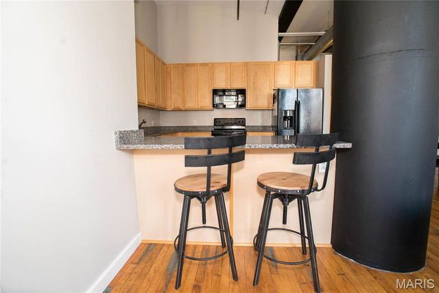 1520 Washington Avenue 604, St Louis, MO 63103