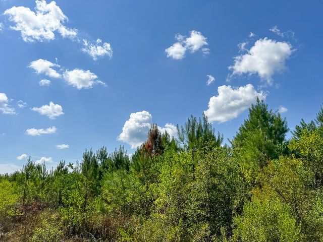 000 FM 1010, Cleveland, TX 77327