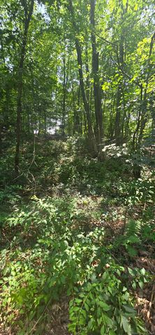 33 Blossom Street, Waterbury, CT 06706