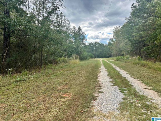 Lot 41 COUNTY ROAD 264, Wedowee, AL 36278