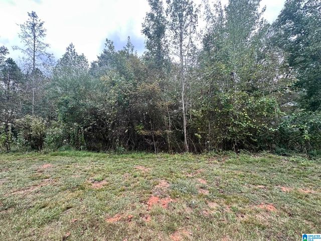 Lot 41 COUNTY ROAD 264, Wedowee, AL 36278