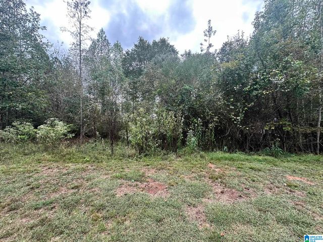 Lot 41 COUNTY ROAD 264, Wedowee, AL 36278