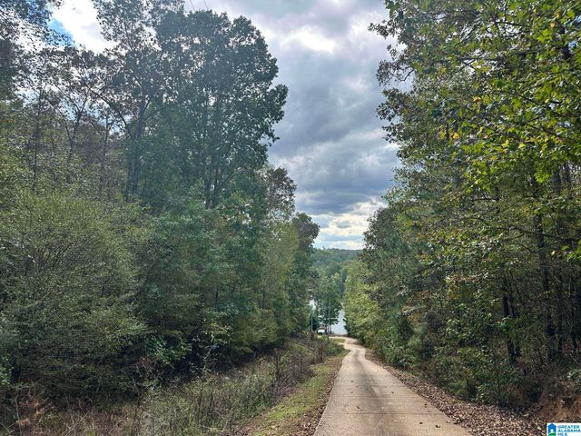 Lot 41 COUNTY ROAD 264, Wedowee, AL 36278