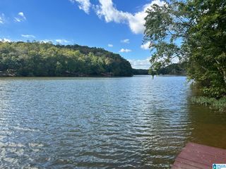 Lot 41 COUNTY ROAD 264, Wedowee, AL 36278