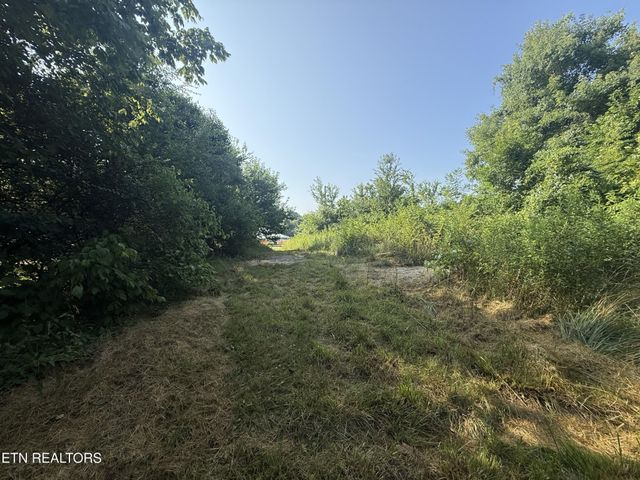 826 N Chamberlain Ave, Rockwood, TN 37854