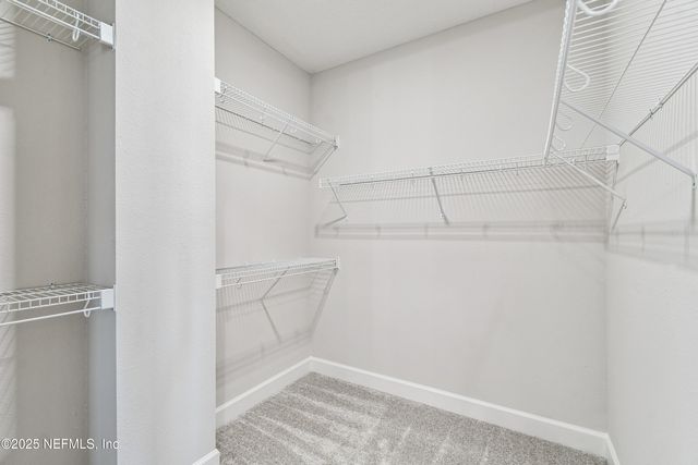 11929 MIRACLE WOODS Way, Jacksonville, FL 32224