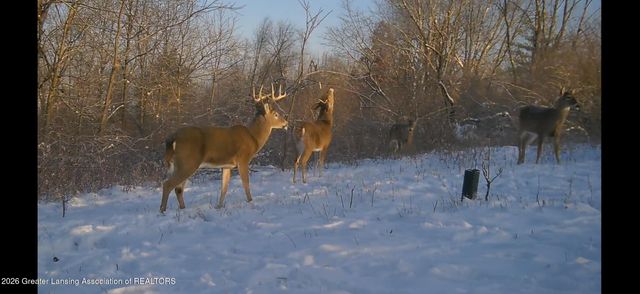 6340 N Hartel Road, Potterville, MI 48876