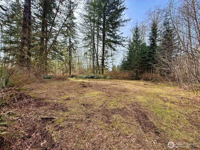 246 Calvin Road, Cinebar, WA 98533