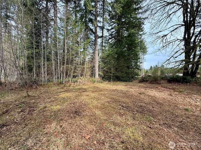 246 Calvin Road, Cinebar, WA 98533