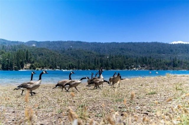 42583 Shady Lane, Oakhurst, CA 93644