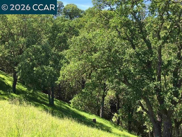 283 Castle Hill Ranch Rd, Walnut Creek, CA 94595