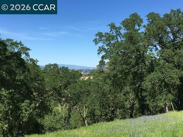 283 Castle Hill Ranch Rd, Walnut Creek, CA 94595
