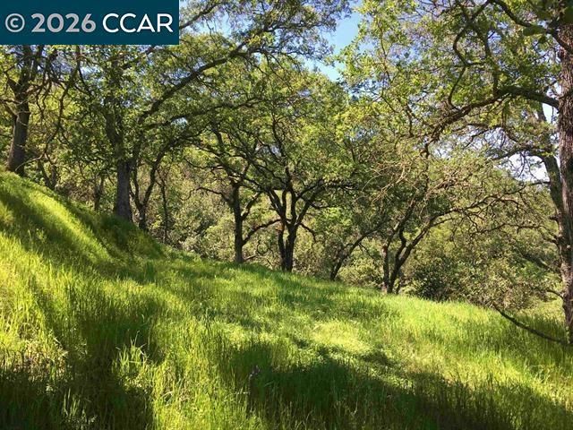 283 Castle Hill Ranch Rd, Walnut Creek, CA 94595