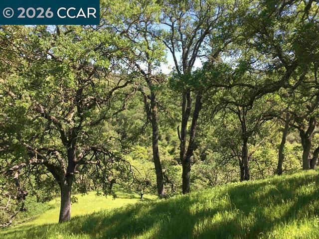 283 Castle Hill Ranch Rd, Walnut Creek, CA 94595