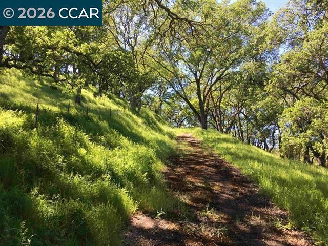 283 Castle Hill Ranch Rd, Walnut Creek, CA 94595