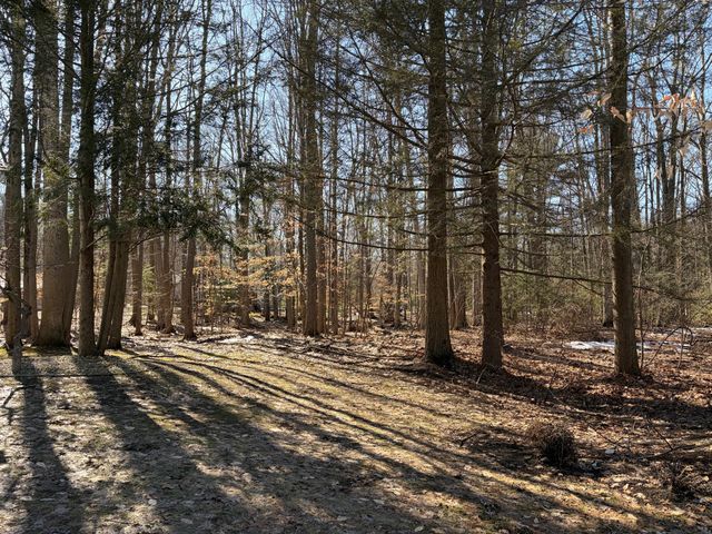 15144 Wintergreen Court, Spring Lake Twp, MI 49456