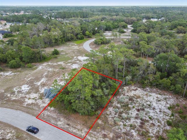 1315 HOMOSASSA COURT, Kissimmee, FL 34759