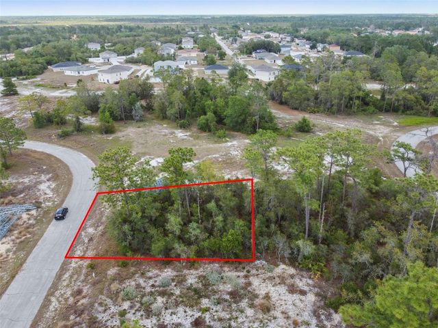 1315 HOMOSASSA COURT, Kissimmee, FL 34759