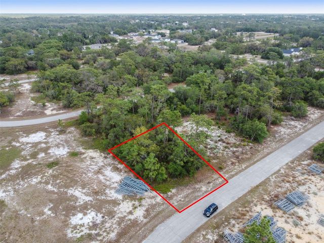 1315 HOMOSASSA COURT, Kissimmee, FL 34759