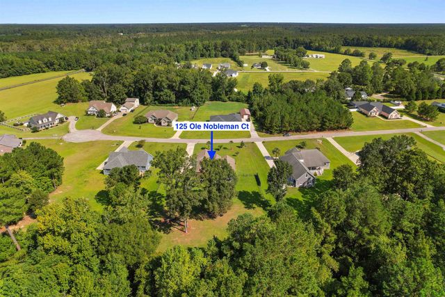 125 Ole Nobleman Ct., Conway, SC 29527