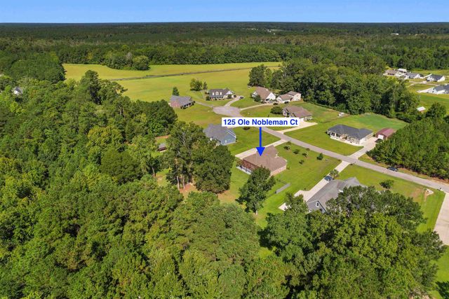 125 Ole Nobleman Ct., Conway, SC 29527