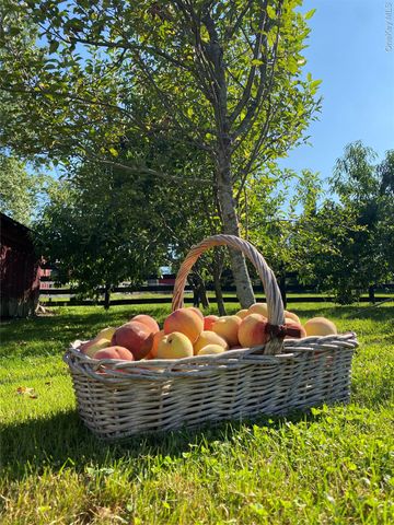 53 Day Road, Campbell Hall, NY 10916