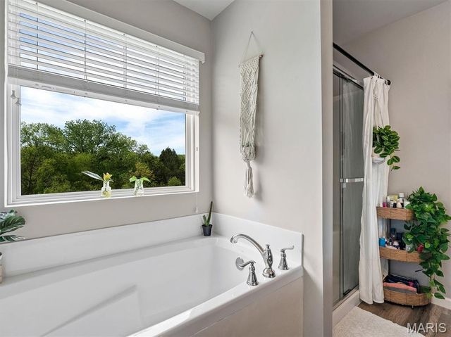 90 San Marino Parkway, Fenton, MO 63026