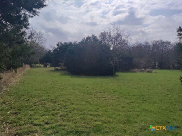 2917 Willow Loop, Kempner, TX 76539