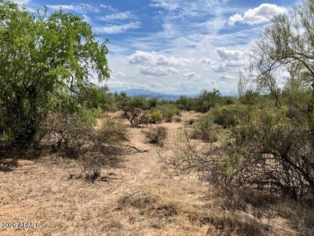 303xx N 160th Street -, Scottsdale, AZ 85262 — photo 2