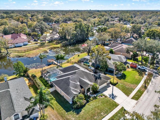 17217 TIFFANY SHORE DRIVE, Lutz, FL 33549