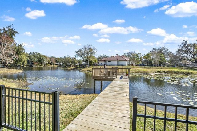 17217 TIFFANY SHORE DRIVE, Lutz, FL 33549