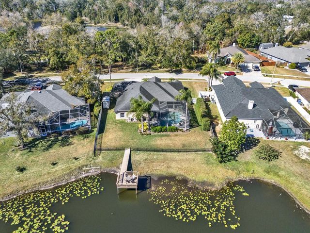 17217 TIFFANY SHORE DRIVE, Lutz, FL 33549