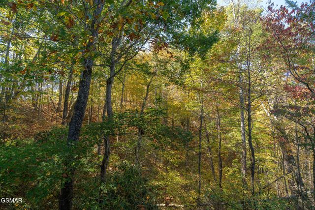 753 Glory Ridge Way, Gatlinburg, TN 37738